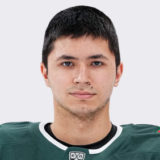 Вазиев Карим
