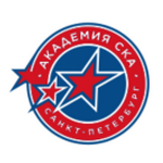 Академия СКА