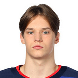 Мельников Ян